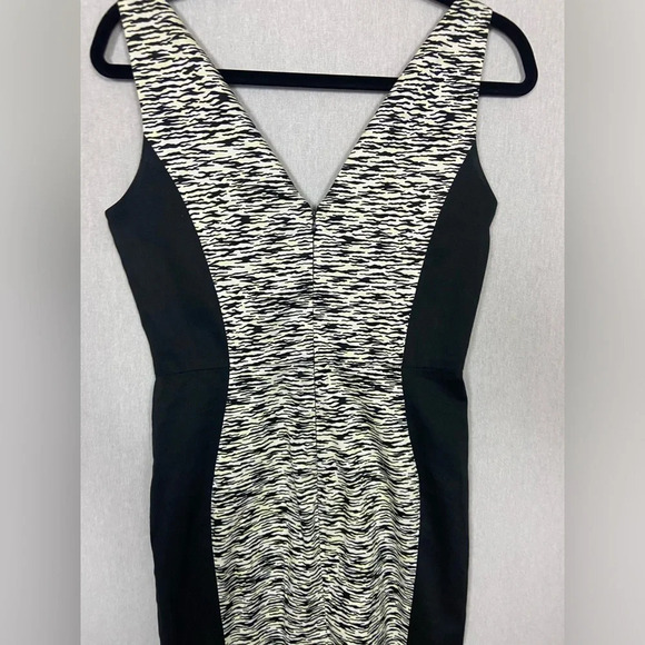 FRENCH CONNECTION  SAHARA WAVE ZEBRA DRESS SZ 6 - Picture 5 of 14